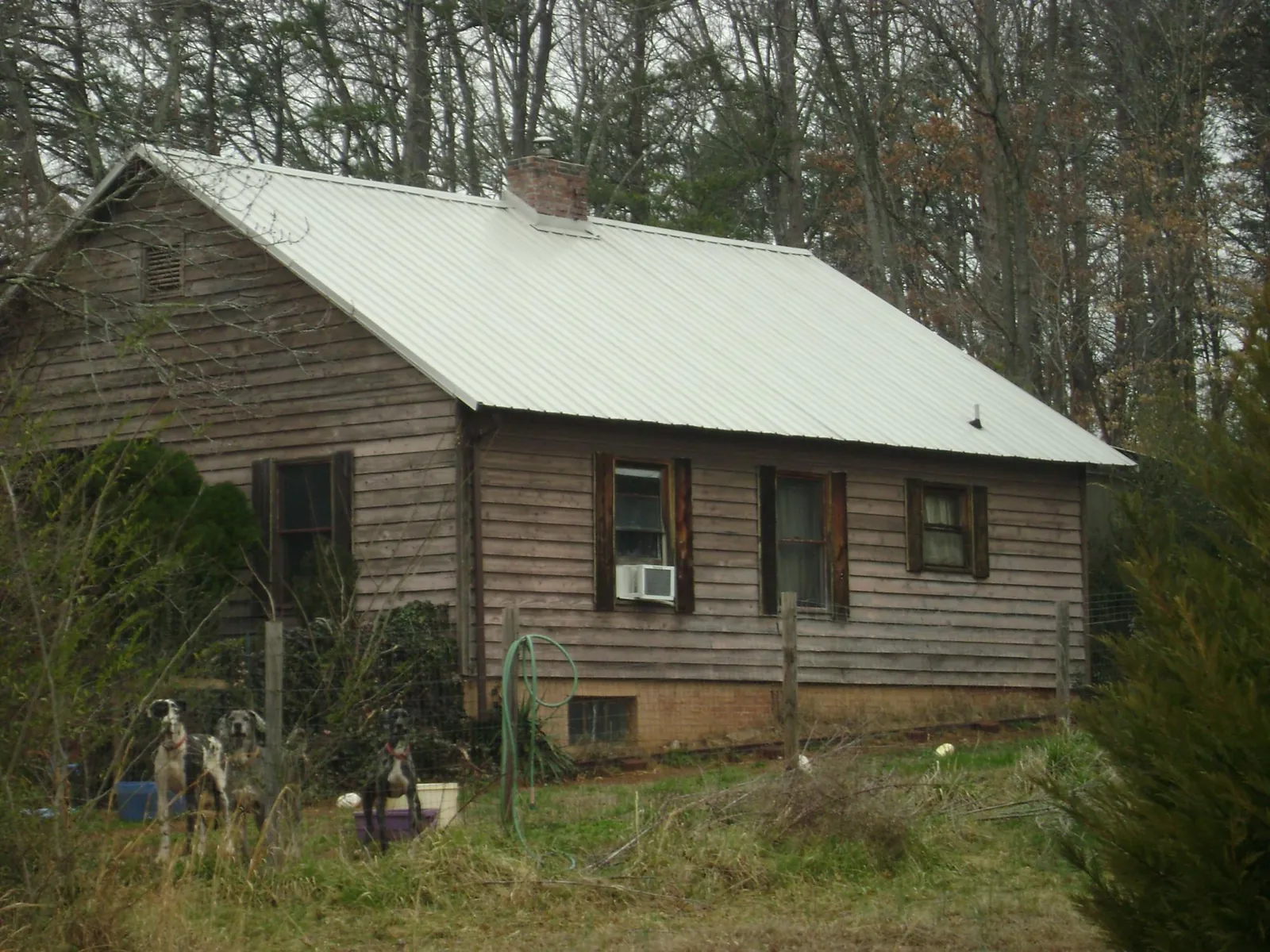 White metal roof on an old wood sided farmhouse, from a Asphalt Shingle Roof Repair job in Hartford City